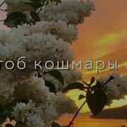 Забар Сирень