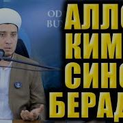 Домлалар Марузалари
