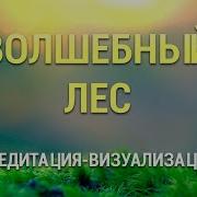Медитация Сказочный Лес