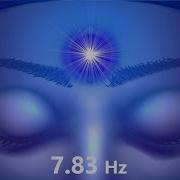 7 83 Гц