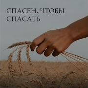 Тизо Встала Заря Минус