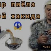 Бир Пиёла Чой