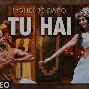 Tu Hai