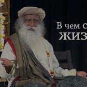 Сарас Смысл Жизни