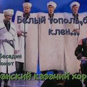 Белый Тополь Белый Клён
