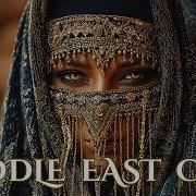 Vostok Cafe De Anatolia