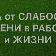 Мусульманская Молитва От Лени