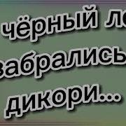 От Улыбки Пёрнул Бегемот