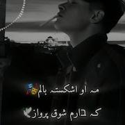 Shoghe Parvaz Remix