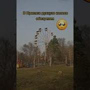 Он Коло Цай
