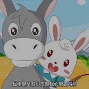 小毛驴