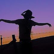 Sematary Scarecrow