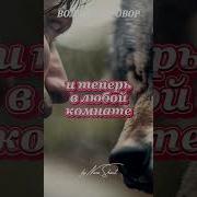 У Ревнивых Волчья Память