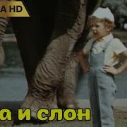 Голявкин Боба И Слон