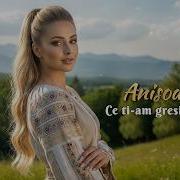 Anisoara G Ce Tiam Gresit Lume Tie