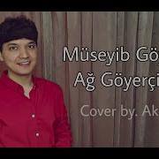 Ag Göyercinim Akmal