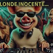 Porcosu 10 Blonde