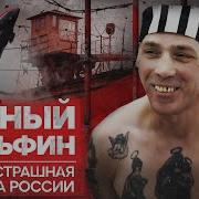 Черный Дельфин