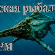 Размот Рр4