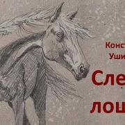 Слепая Лошадь