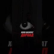 Телефонни Кӯтар