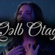 Qelb Otagi Mahnizamani