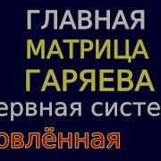 Матрицы Гаряева От Дин Ю
