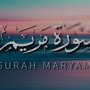Muhammad Hady Toure