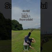 Supergtsubarubrzって何
