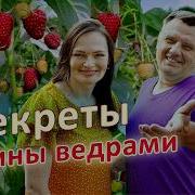 Малина