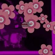 Petunia Csupo