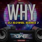Tiggy Why Remix