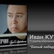 Иван Кучин Белый Лебедь