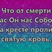 Славьте Бога Минус