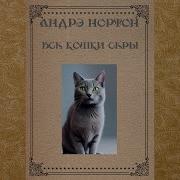 Нортон Кошачьим Взглядом