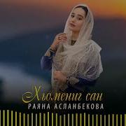 Дог Са Реза Ахь Дина