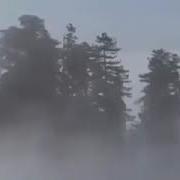 Дурдоналари