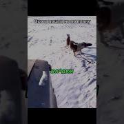 Ах Охоты Ты Охота