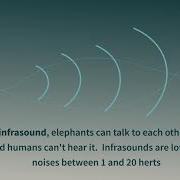 Low Rumble Infrasound