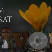 Pivok Mem Ararat