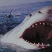 Мелодия Акулы