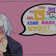 달보이스 Full