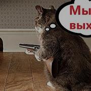 Смешная Озвучка Собак