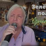 Зеленые Поля Песня