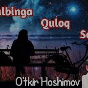 Qalbingga Quloq Sol