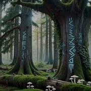 Батюшка Леший