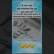 Спасибо За Подписку
