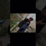 Приколи Курбони Чол