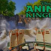 Lmgvids Animal River