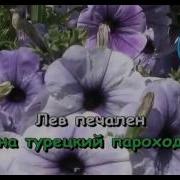 Лев Караоке В Порту